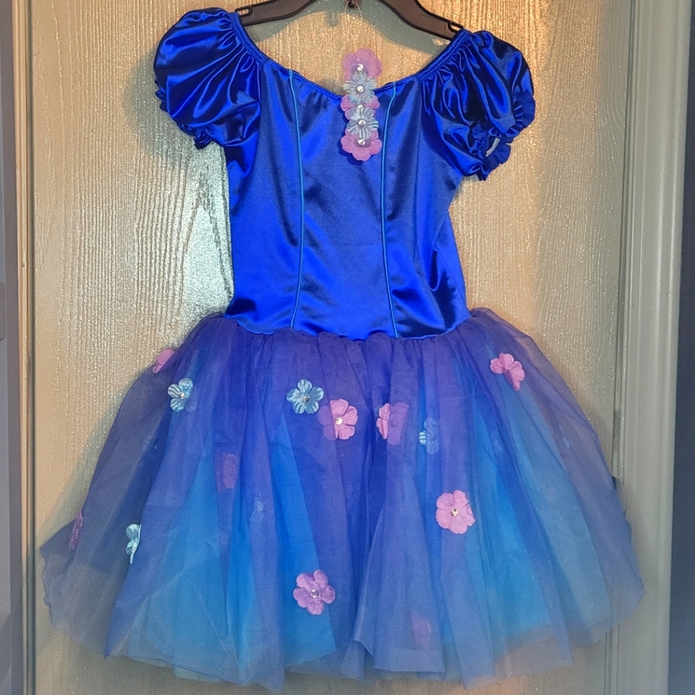 Ballet Costume